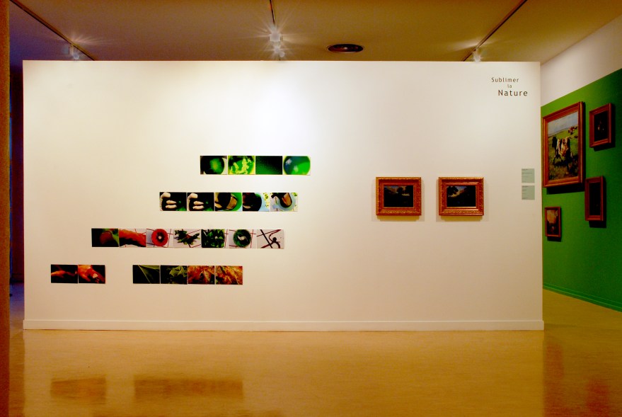 Exposition "D'après Nature", Musée des Beaux-arts de Dunkerque