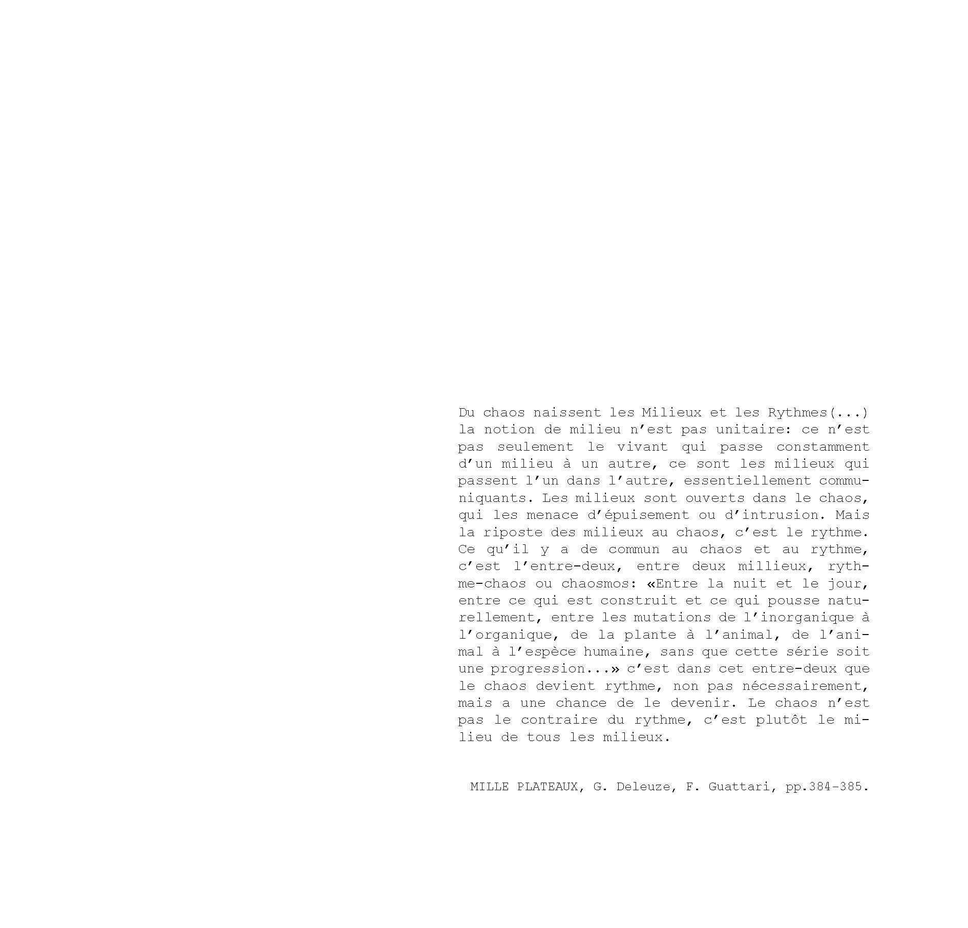 pour un chaosmos2_Page_005