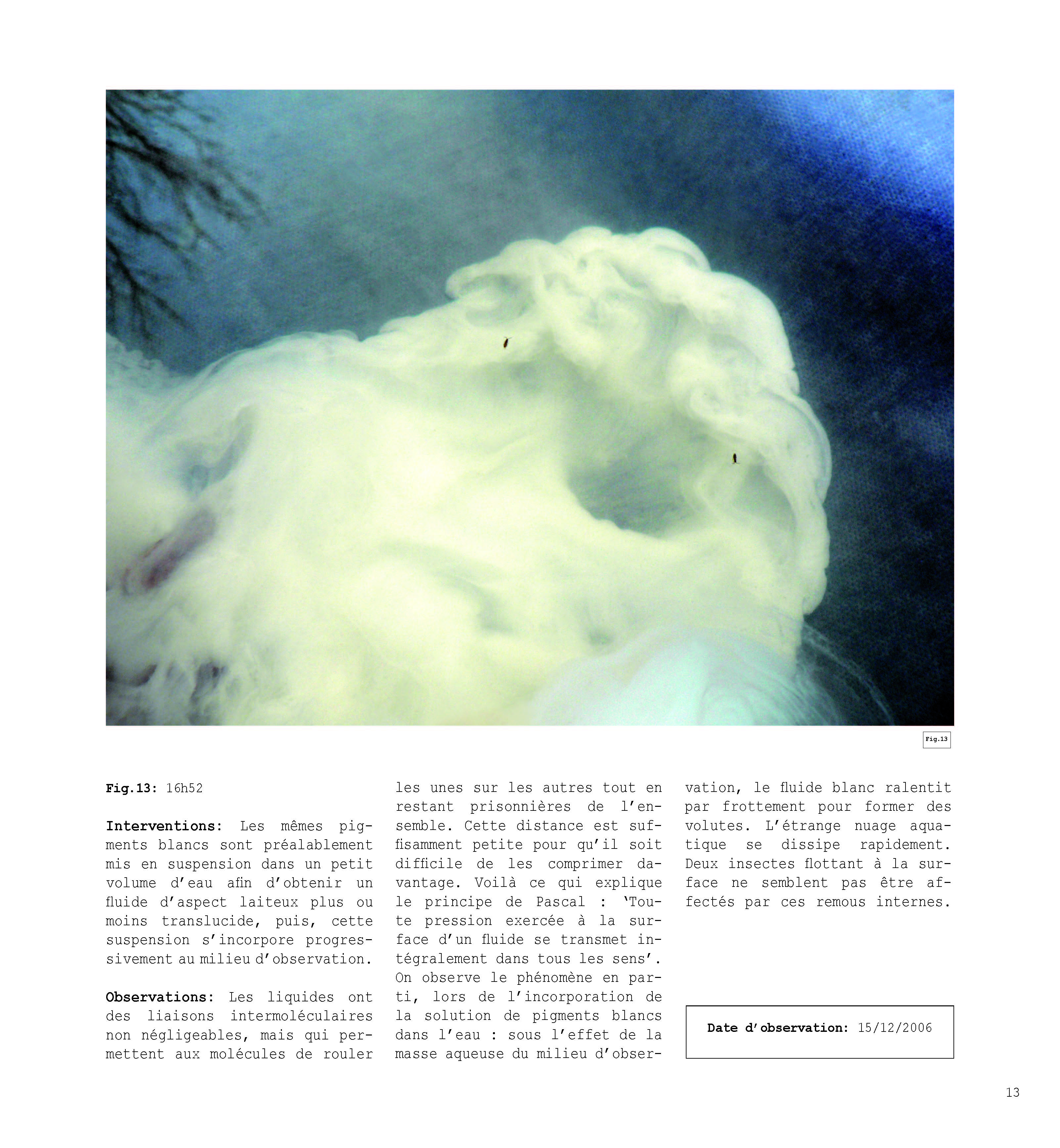 pour un chaosmos2_Page_013