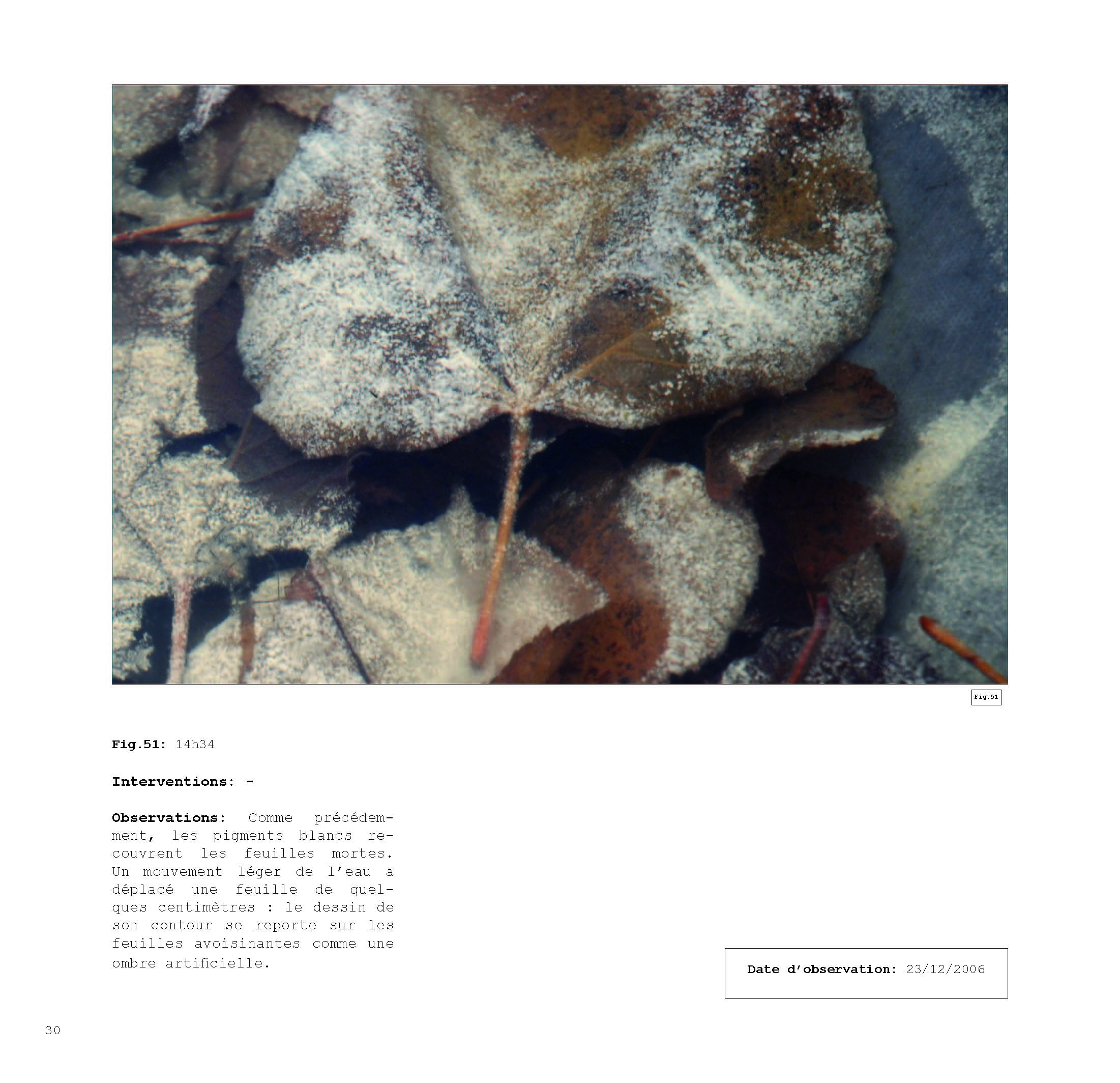 pour un chaosmos2_Page_030