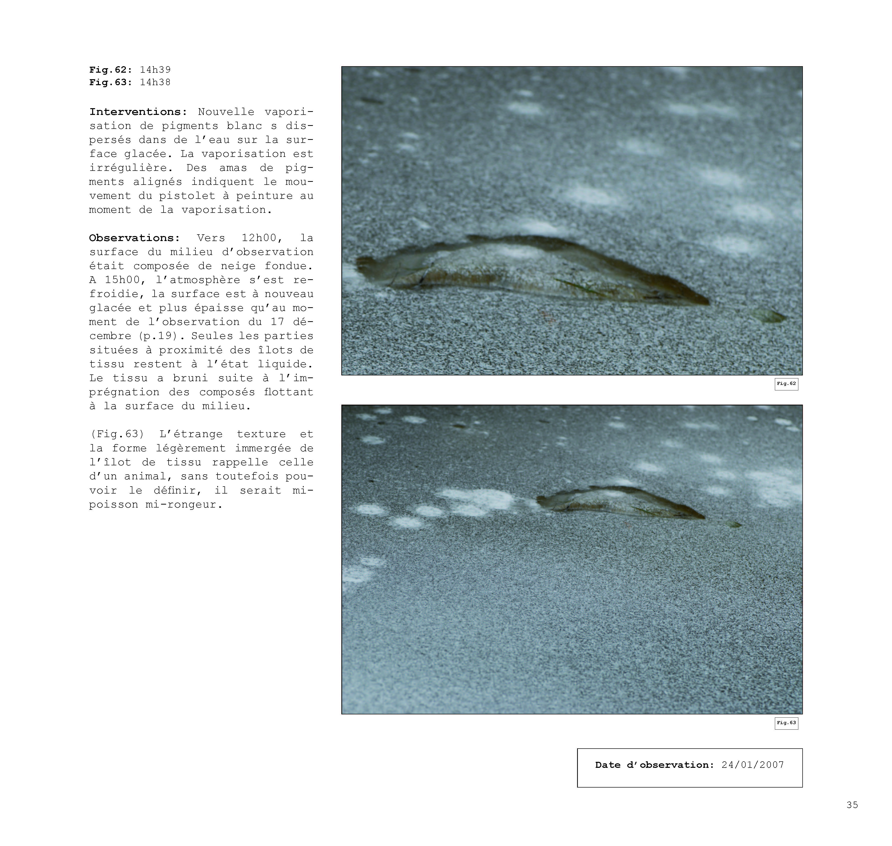 pour un chaosmos2_Page_035