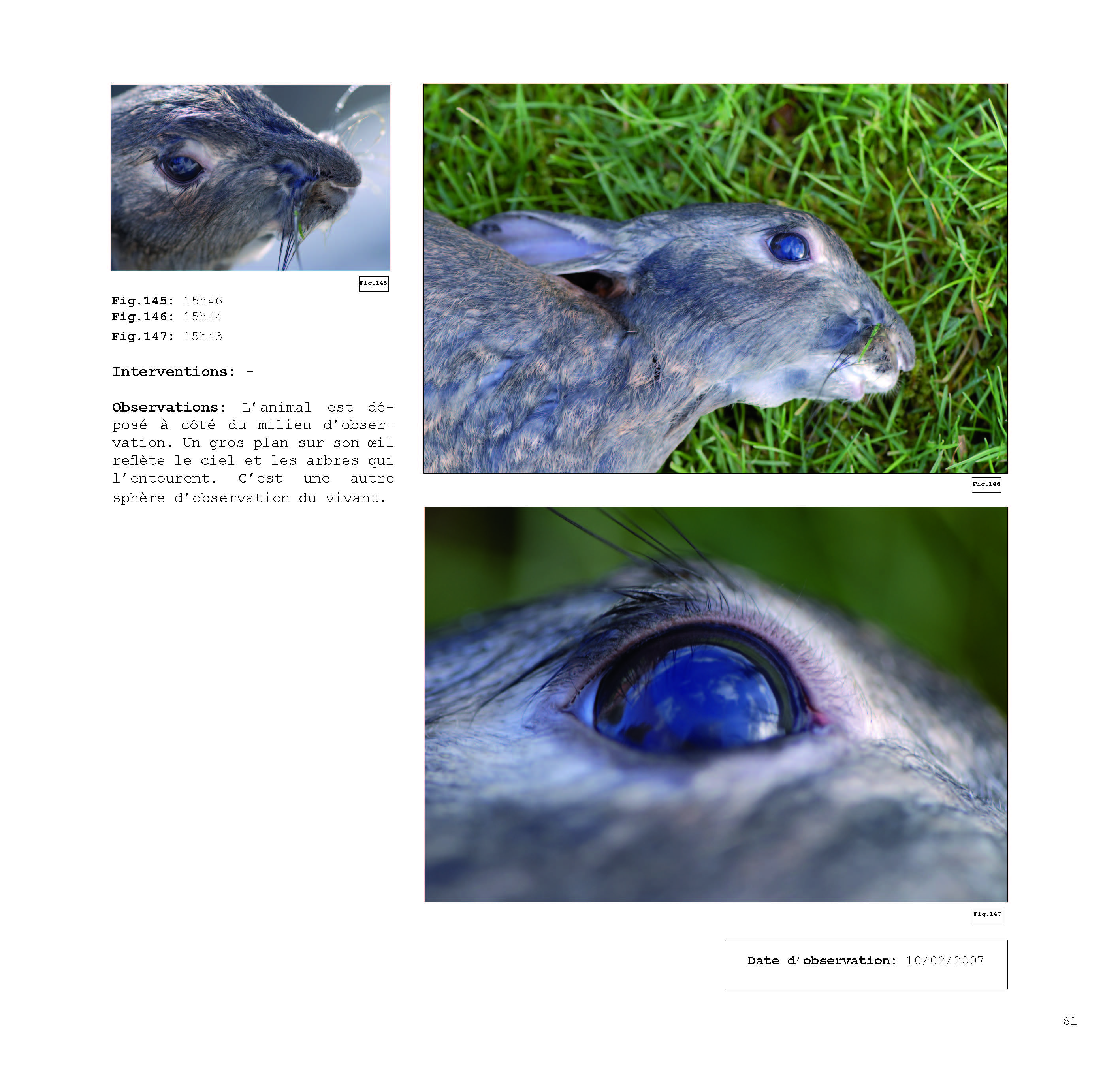 pour un chaosmos2_Page_061