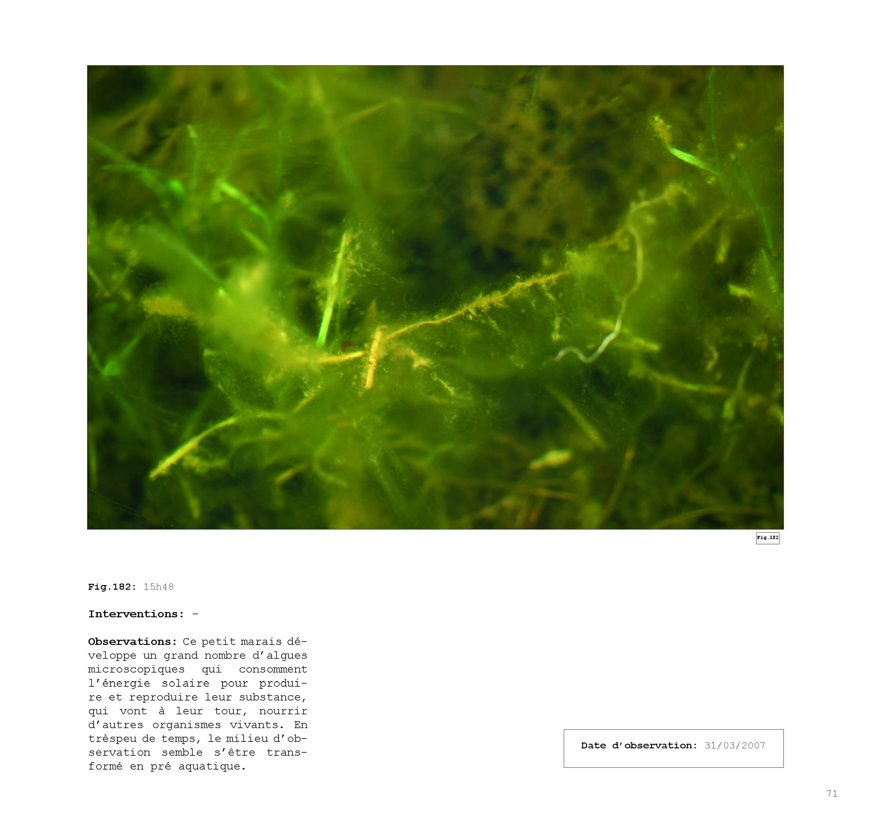 pour un chaosmos2_Page_071