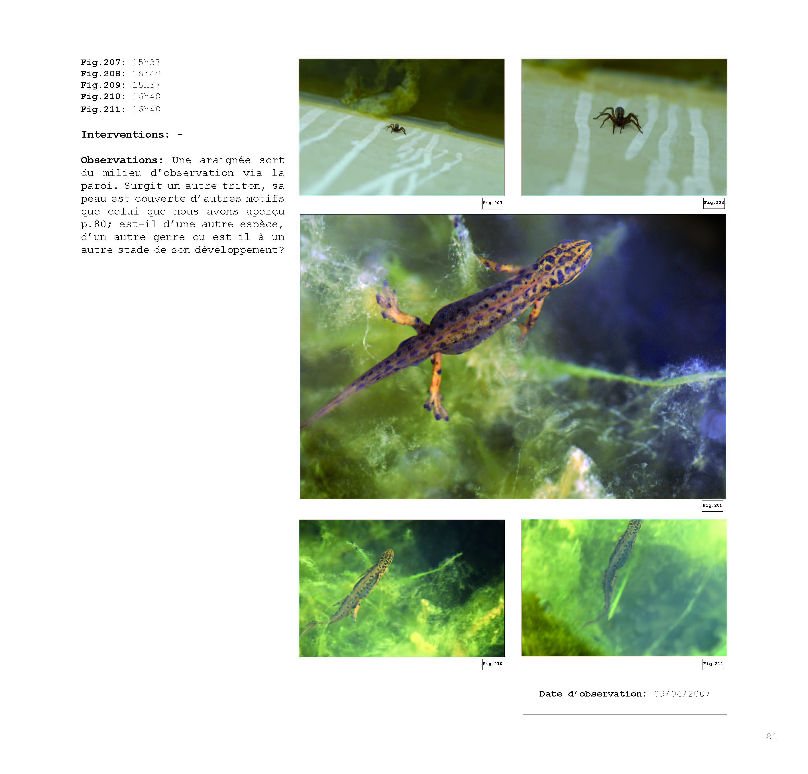 pour un chaosmos2_Page_081