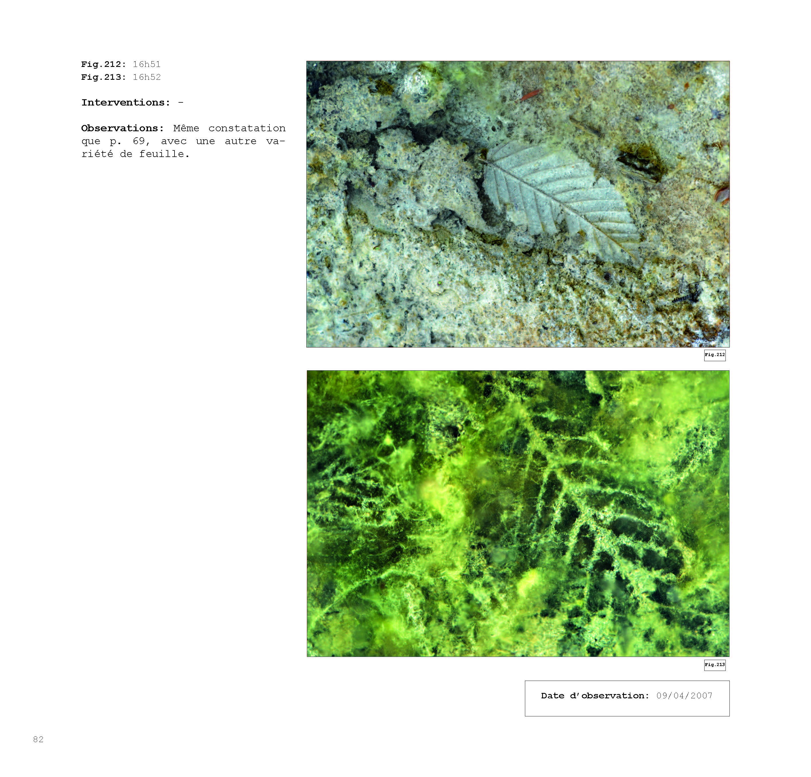 pour un chaosmos2_Page_082