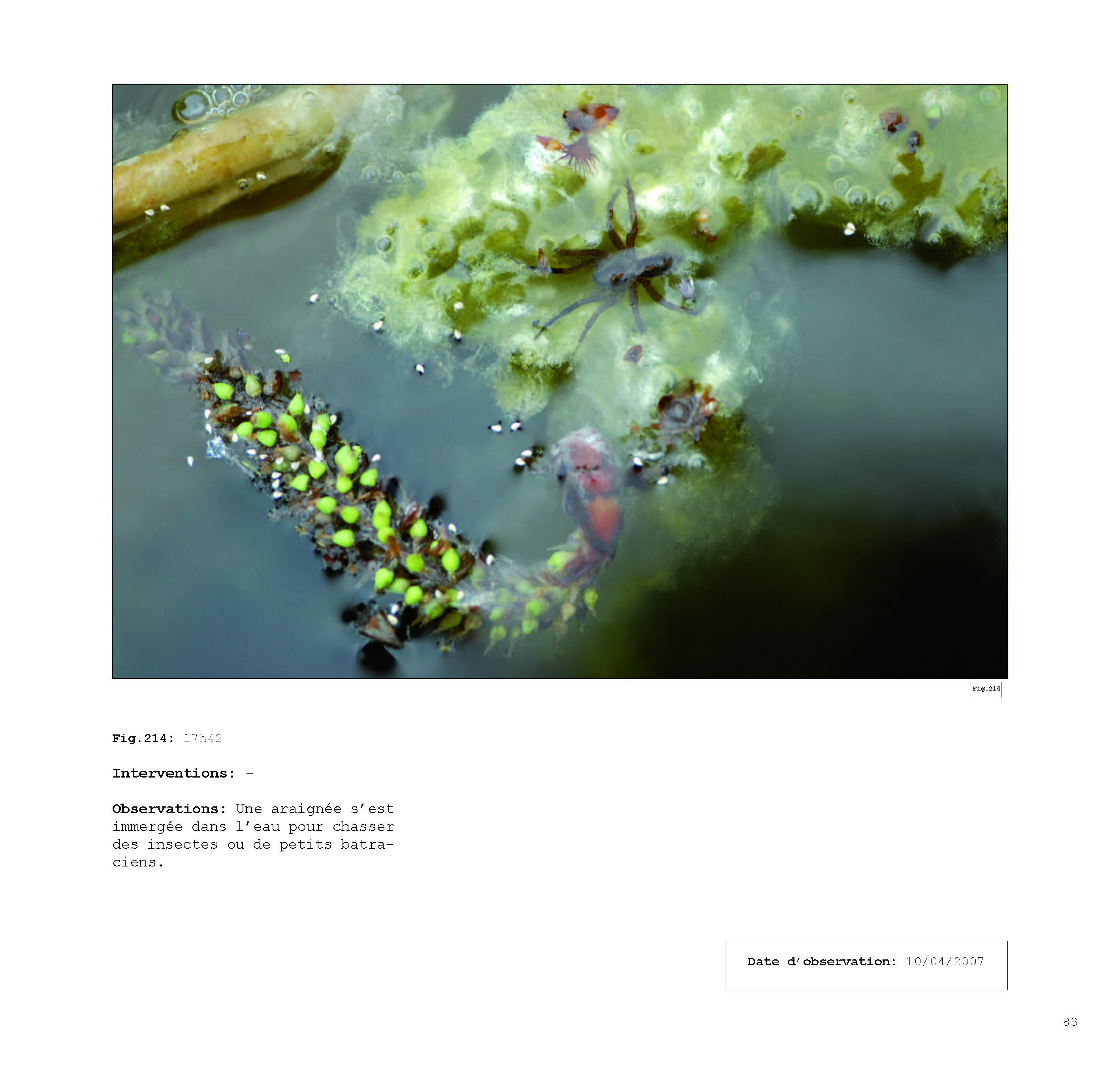 pour un chaosmos2_Page_083