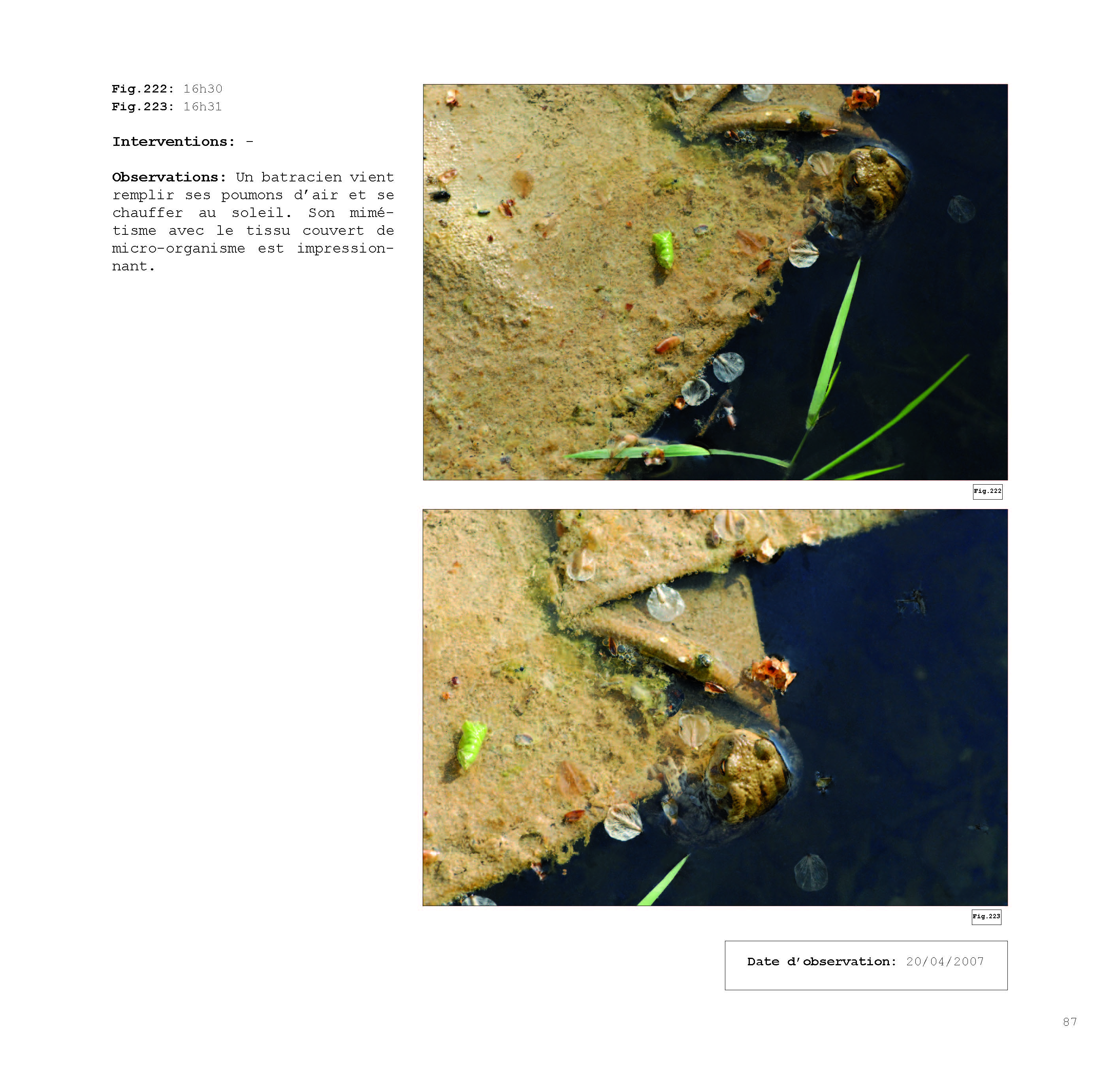 pour un chaosmos2_Page_087