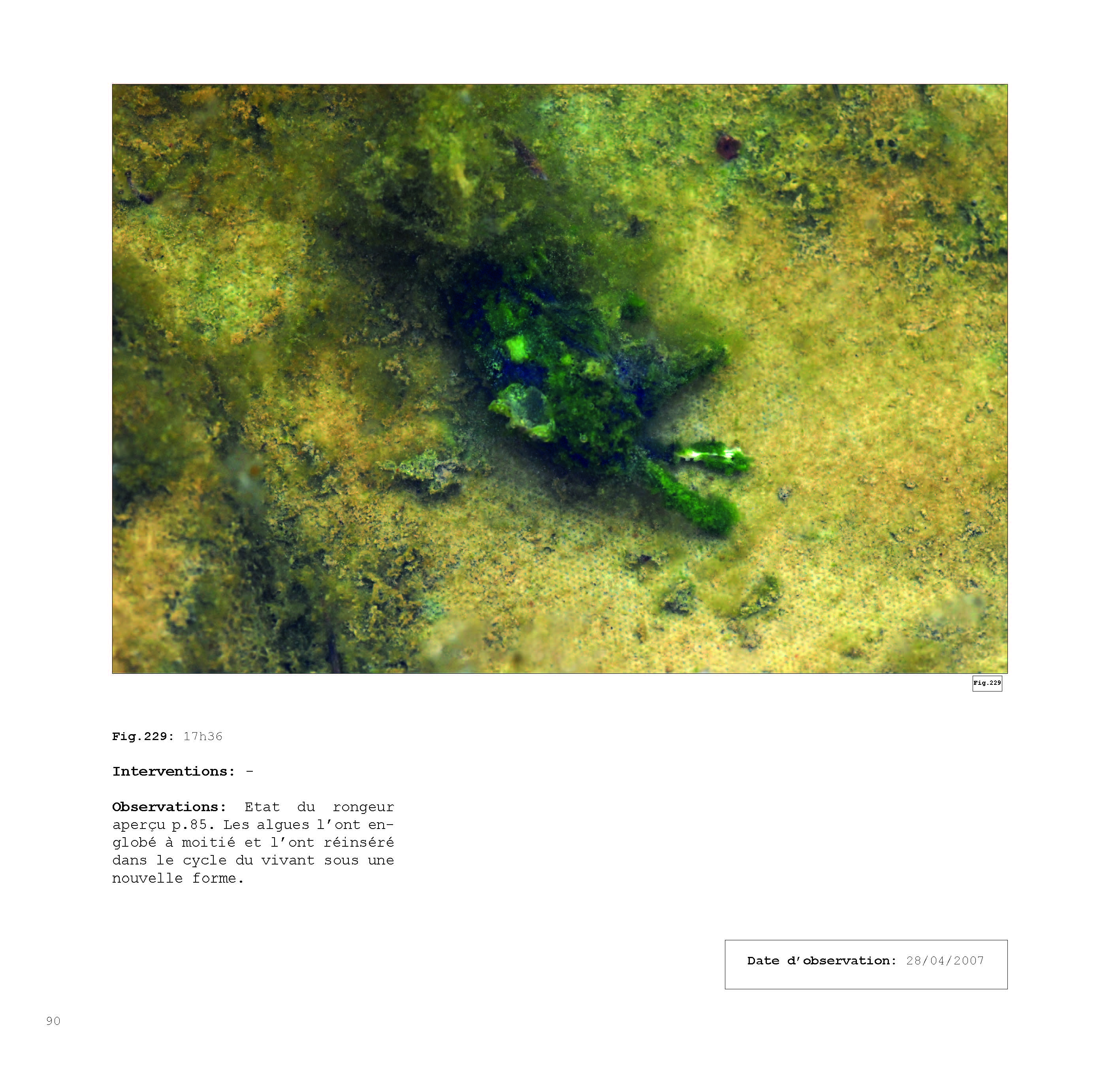 pour un chaosmos2_Page_090