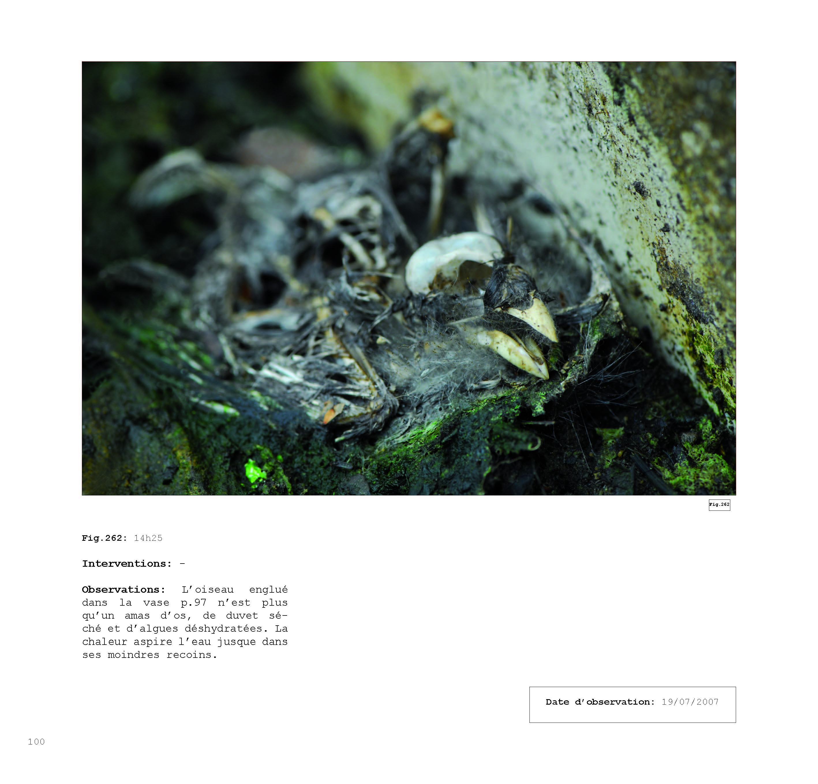 pour un chaosmos2_Page_100