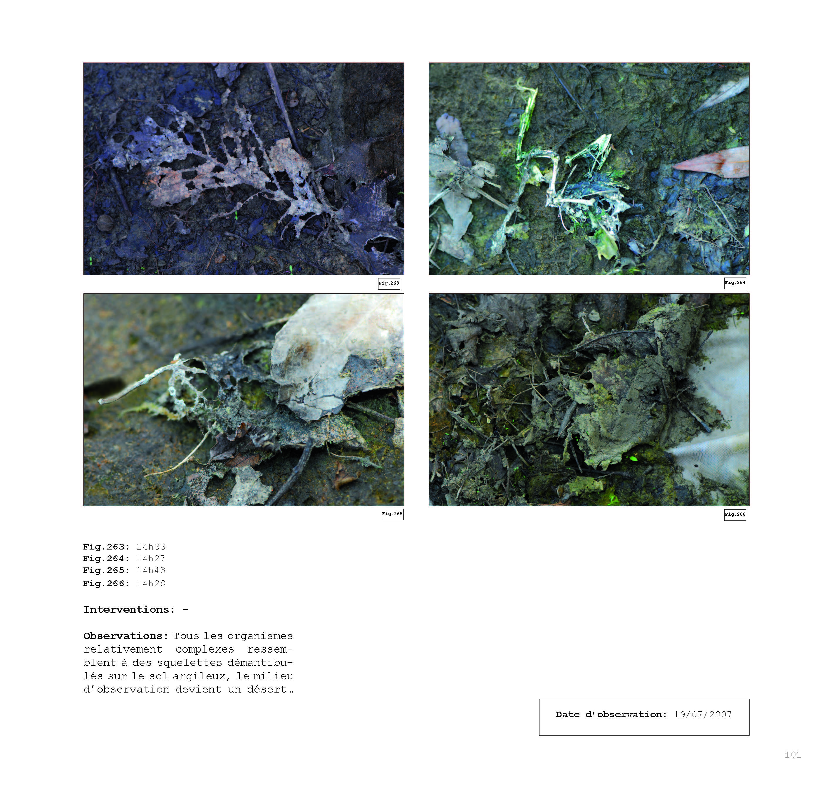 pour un chaosmos2_Page_101