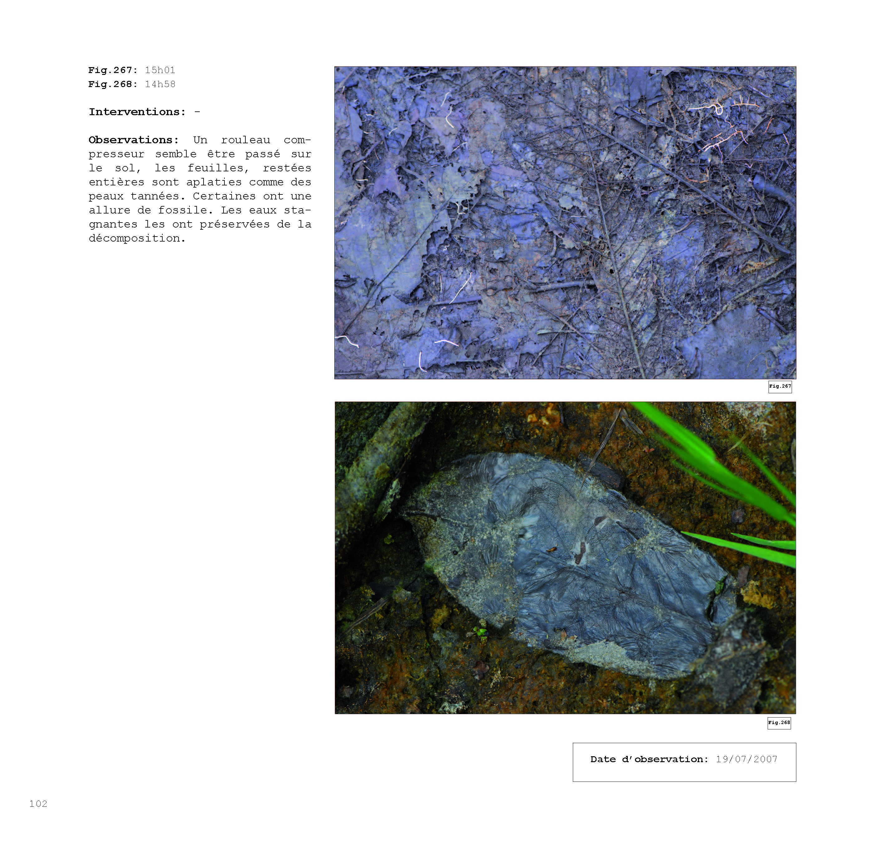 pour un chaosmos2_Page_102