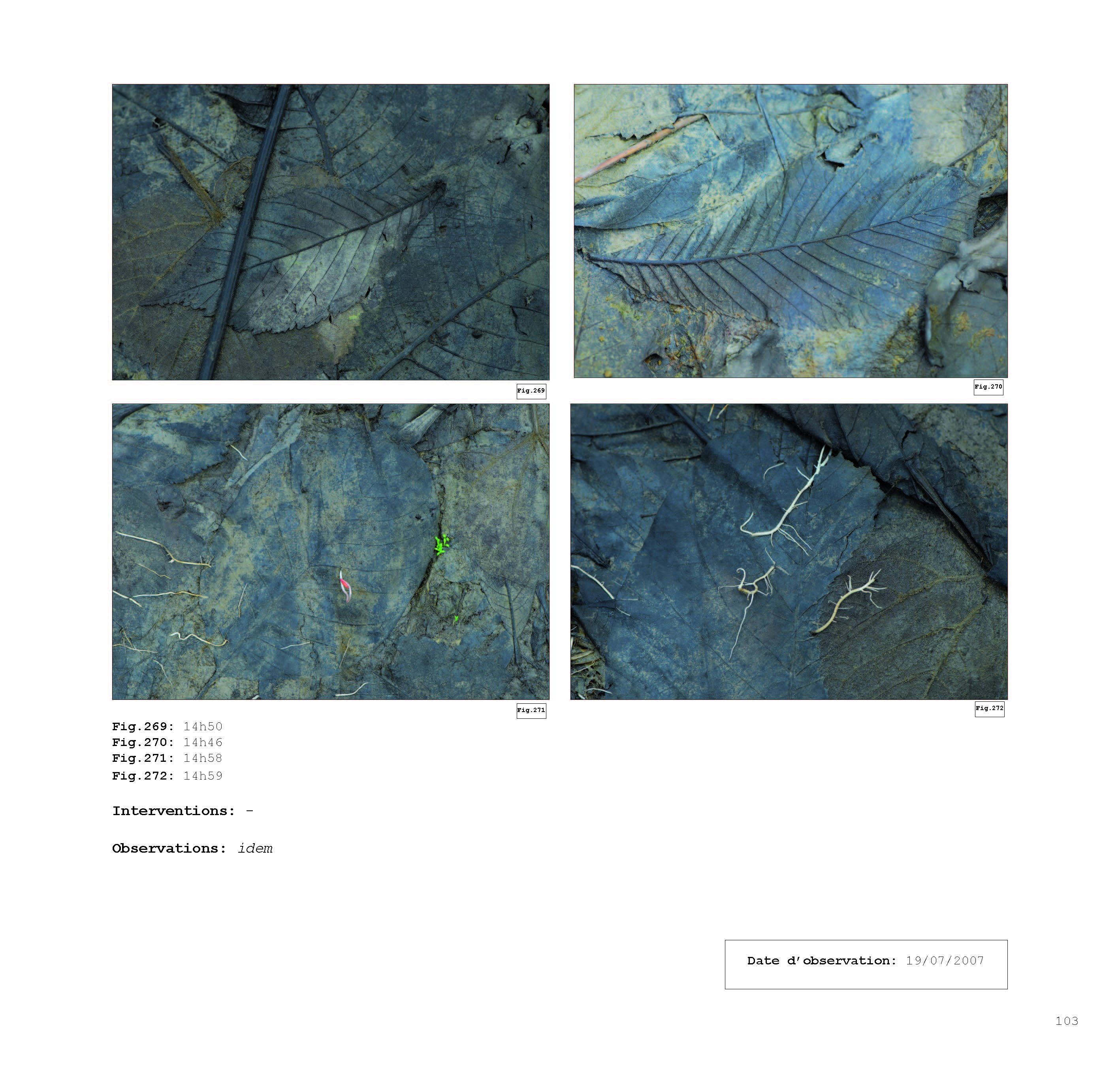 pour un chaosmos2_Page_103