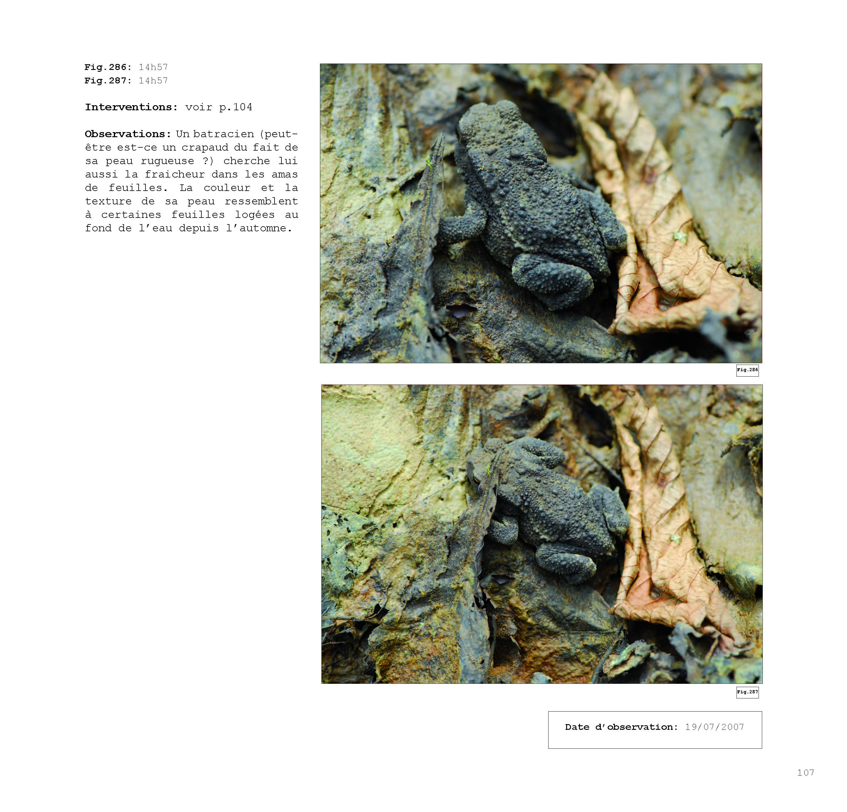 pour un chaosmos2_Page_107