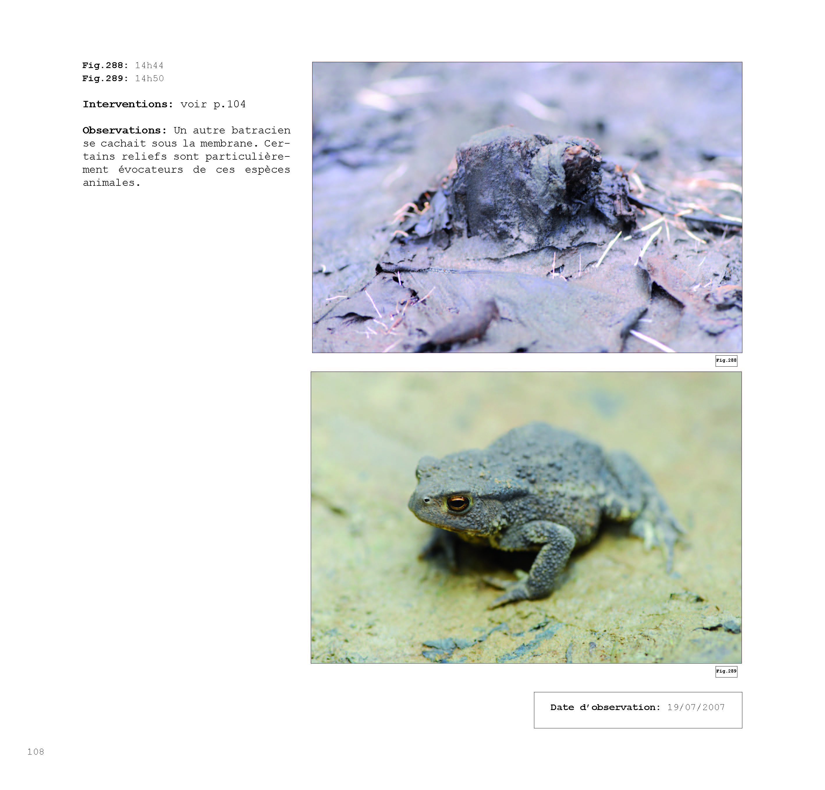 pour un chaosmos2_Page_108