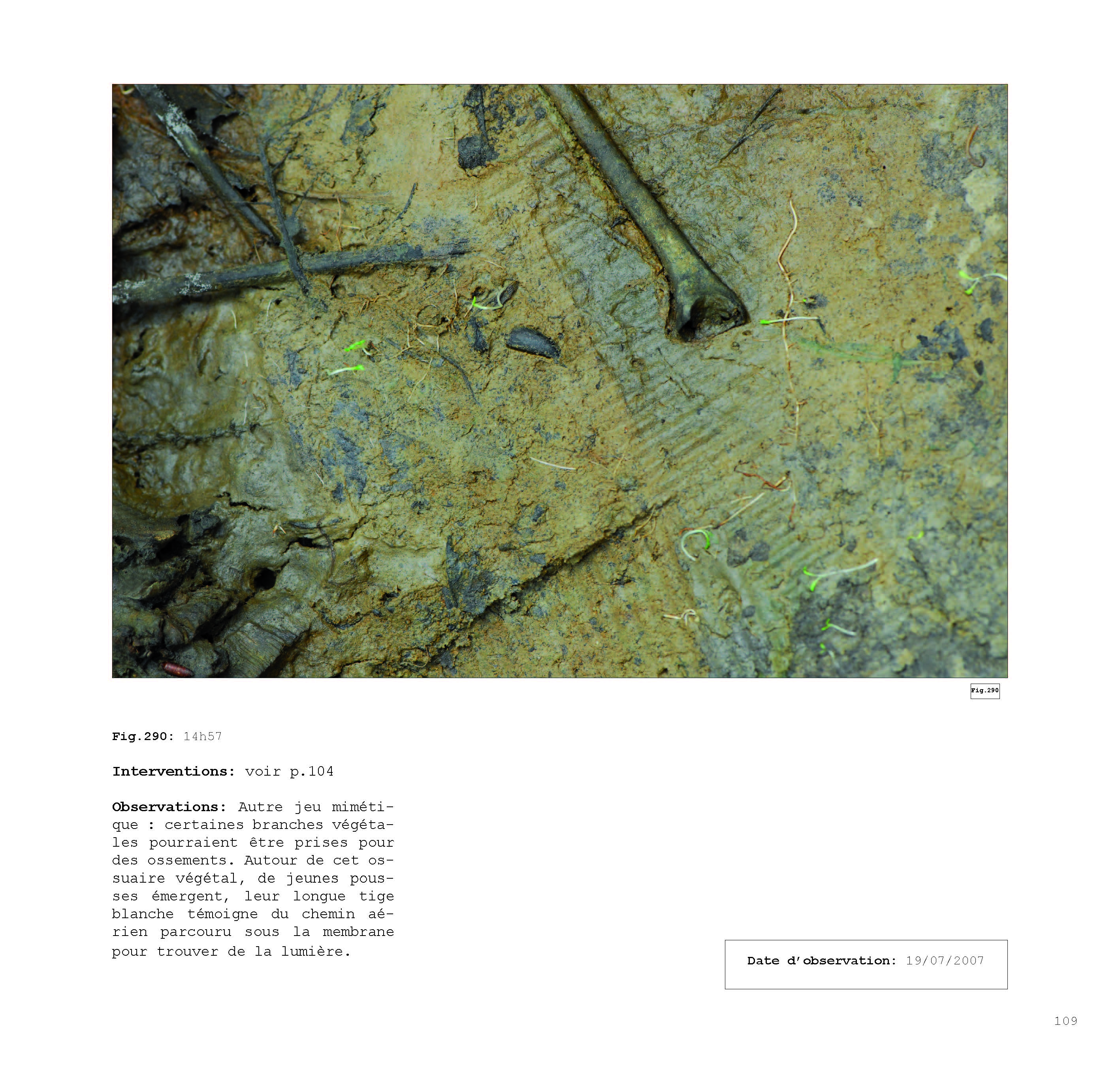 pour un chaosmos2_Page_109